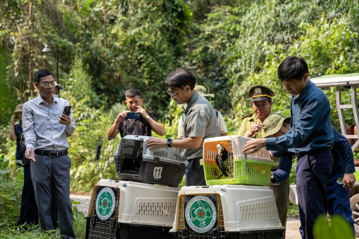 Nhiều động vật quý hiếm từ Hà Nội được thả ở rừng Phong Nha- Ảnh 1. Nhiều động vật quý hiếm từ Hà Nội được thả ở rừng Phong Nha- Ảnh 1.