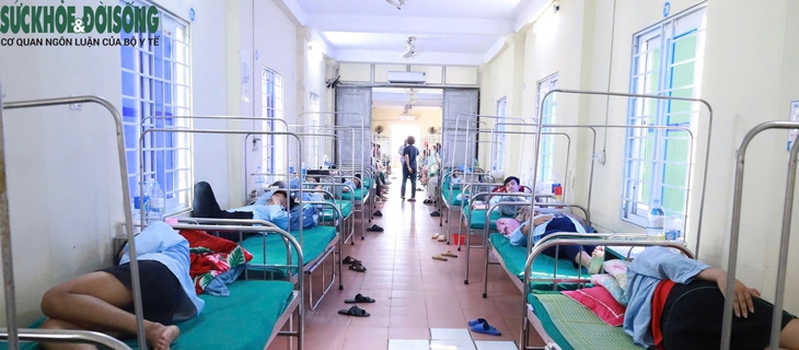 Vụ ngộ độc nghi ăn bánh mì ở Nghệ An: Thêm nhiều người nhập viện- Ảnh 1. Vụ ngộ độc nghi ăn bánh mì ở Nghệ An: Thêm nhiều người nhập viện- Ảnh 1.