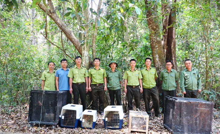 Nhiều động vật quý hiếm được thả về đại ngàn Đắk Lắk chỉ trong một ngày- Ảnh 1. Nhiều động vật quý hiếm được thả về đại ngàn Đắk Lắk chỉ trong một ngày- Ảnh 1.
