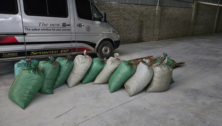 Buôn bán gần 900kg vảy tê tê cực kỳ quý hiếm, lĩnh án 8 năm tù- Ảnh 1. Buôn bán gần 900kg vảy tê tê cực kỳ quý hiếm, lĩnh án 8 năm tù- Ảnh 1.