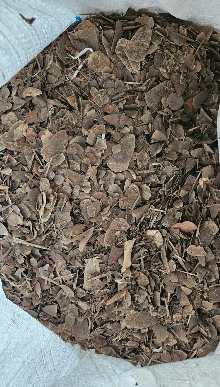 Buôn bán gần 900kg vảy tê tê cực kỳ quý hiếm, lĩnh án 8 năm tù- Ảnh 2. Buôn bán gần 900kg vảy tê tê cực kỳ quý hiếm, lĩnh án 8 năm tù- Ảnh 2.