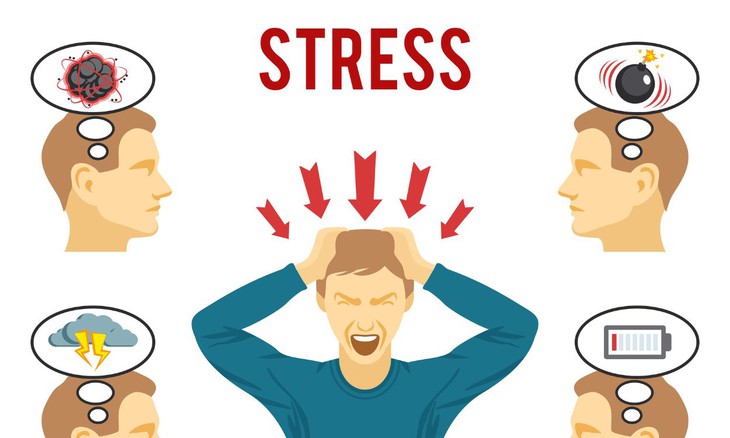 Sống 'an yên’: Cách hỗ trợ kiểm soát cortisol và bảo vệ sức khỏe- Ảnh 1.