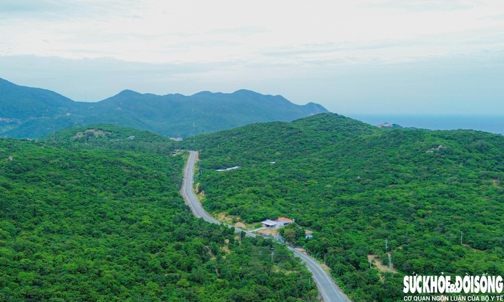 Khám phá vẻ đẹp vườn quốc gia ở Khánh Hòa – nơi sinh sống của nhiều loài động vật quý hiếm- Ảnh 2.