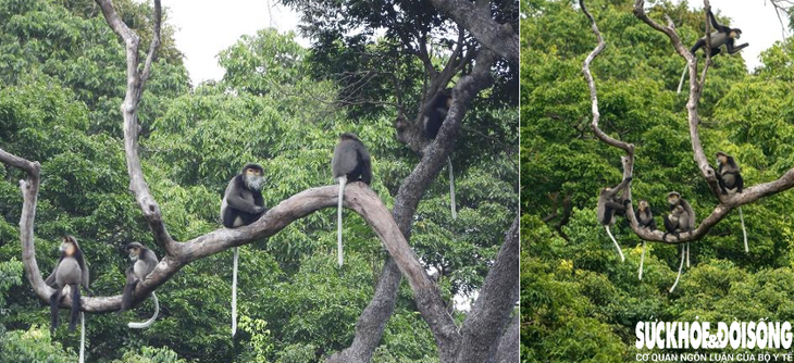 Khám phá vẻ đẹp vườn quốc gia ở Khánh Hòa – nơi sinh sống của nhiều loài động vật quý hiếm- Ảnh 7.