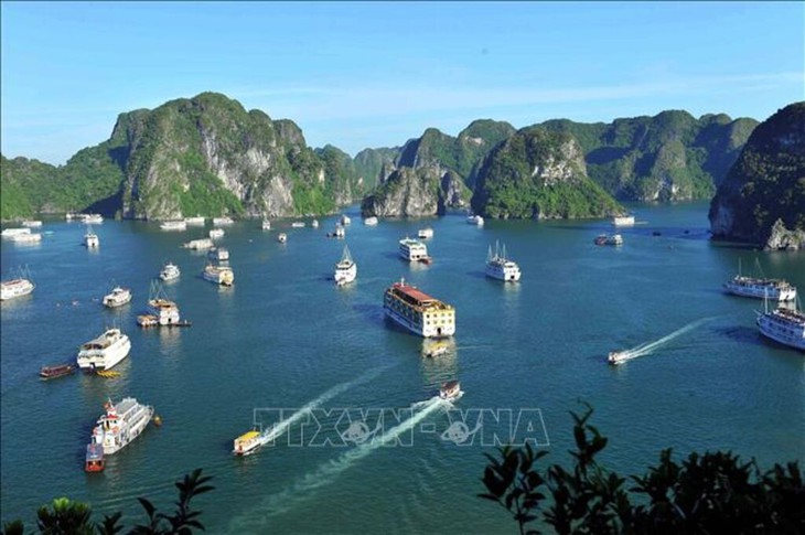 Thống nhất quy chế phối hợp quản lý tàu du lịch giữa vịnh Hạ Long và vịnh Lan Hạ- Ảnh 1.