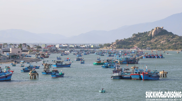 Đến chợ Nại, cảm nhận nhịp sống mặn mòi của làng biển trăm năm- Ảnh 1.