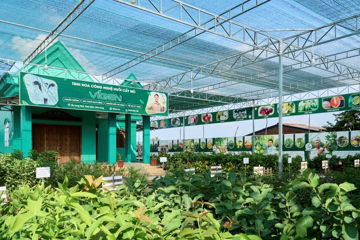 Cây giống ViGen - Khát vọng nâng tầm giá trị nông sản Việt bằng công nghệ sinh học 4.0- Ảnh 2.