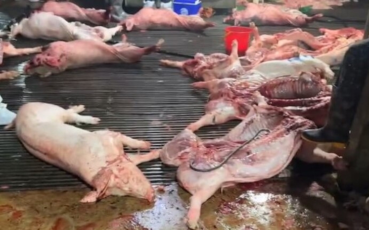 Thịt lợn bệnh vào bếp ăn trường học nguy hiểm thế nào?