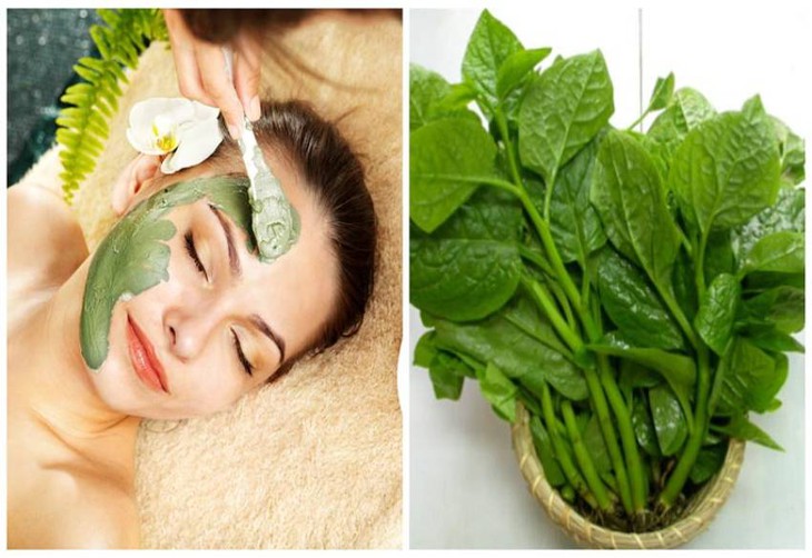 Ngạc nhiên về khả năng chống lão hóa của loại rau sẵn có- Ảnh 1.