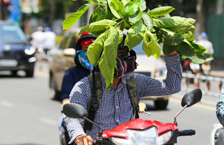 Nắng nóng gay gắt kéo dài, khuyến cáo các biện pháp bảo vệ sức khỏe- Ảnh 1.