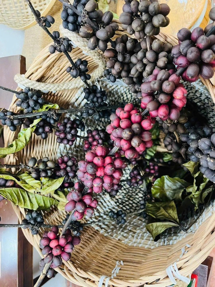 Sống chậm trong không gian xanh ở Vườn thực vật Hà Nội- Ảnh 8.