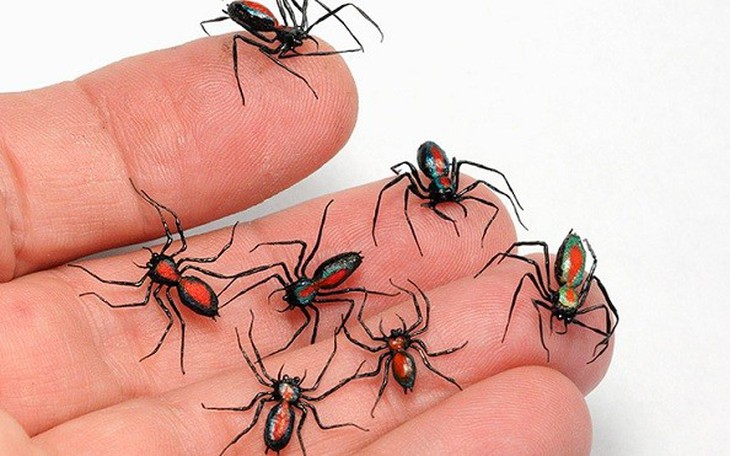 Nhận biết vết côn trùng cắn, đốt và cách xử trí đúng để tránh biến chứng nguy hiểm