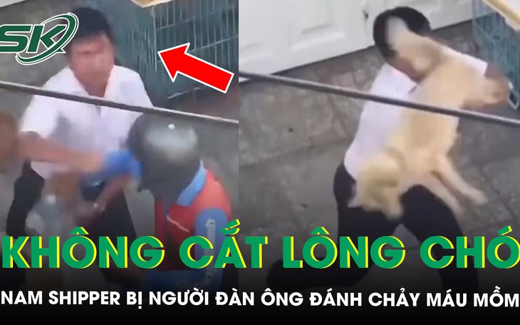 Từ chối cắt lông chó, nam shipper bị người đàn ông đánh chảy máu miệng ở TPHCM