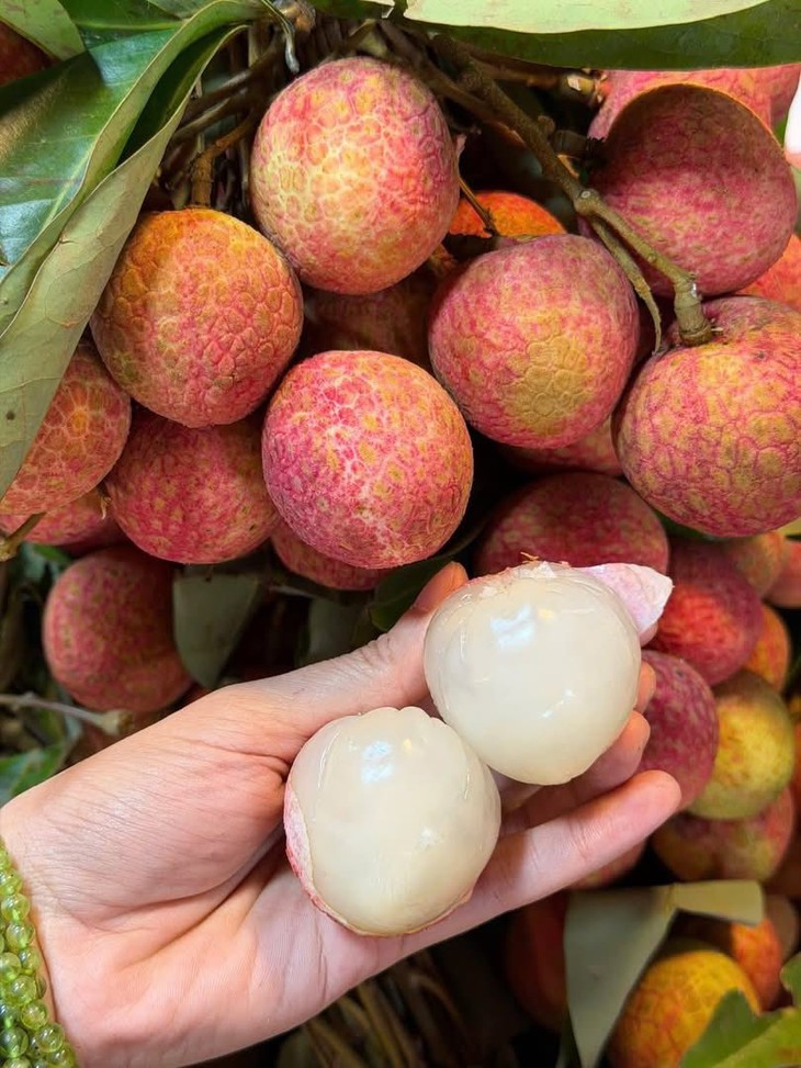 Vải, mận, măng cụt... đắt khách nhờ tâm lý 'ăn theo mùa'- Ảnh 3. Vải, mận, măng cụt... đắt khách nhờ tâm lý 'ăn theo mùa'- Ảnh 3.