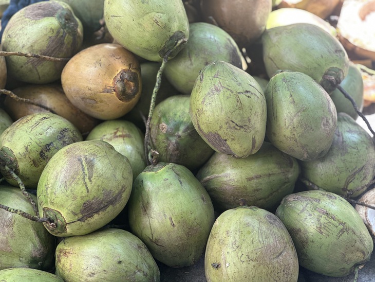 Uống nước dừa mỗi ngày cần biết điều này- Ảnh 1. Uống nước dừa mỗi ngày cần biết điều này- Ảnh 1.