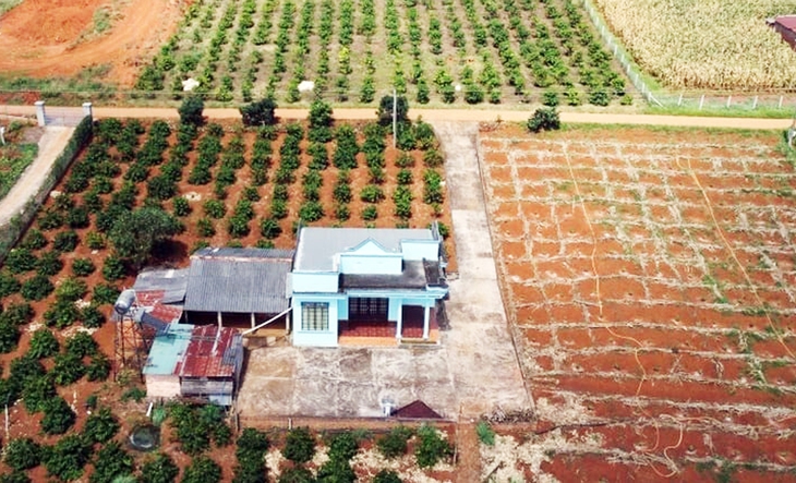Thủ tục chuyển đất trồng cây lâu năm sang đất ở theo quy định mới- Ảnh 1. Thủ tục chuyển đất trồng cây lâu năm sang đất ở theo quy định mới- Ảnh 1.
