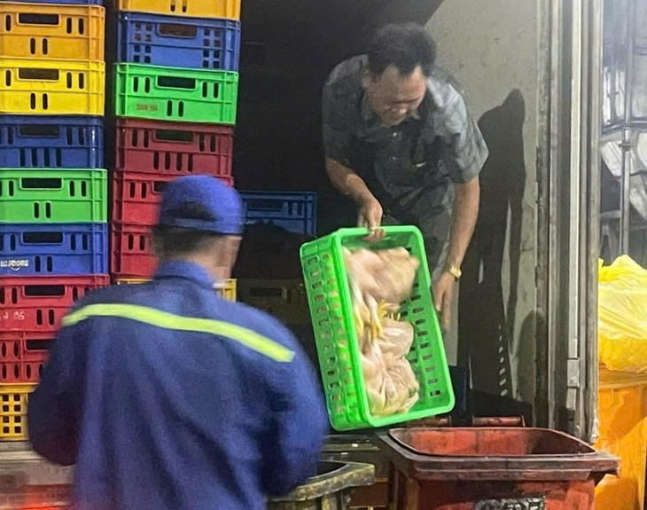 Phát hiện hàng tấn lợn chết đang phân hủy, bốc mùi trên đường đi tiêu thụ ở TPHCM- Ảnh 4. Phát hiện hàng tấn lợn chết đang phân hủy, bốc mùi trên đường đi tiêu thụ ở TPHCM- Ảnh 4.