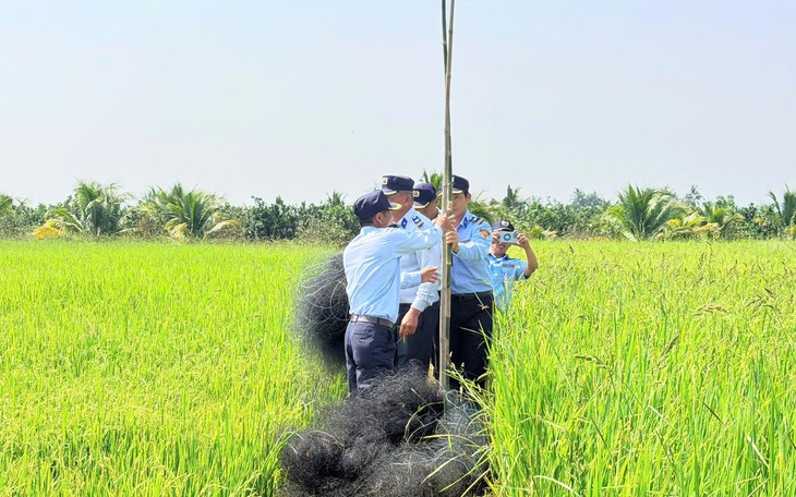 Công an phát hiện hàng trăm cá thể chim không rõ nguồn gốc ở Khánh Hòa- Ảnh 2.