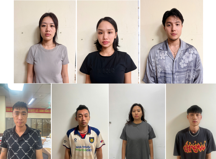 Ca sĩ Miu Lê bị khởi tố- Ảnh 1.