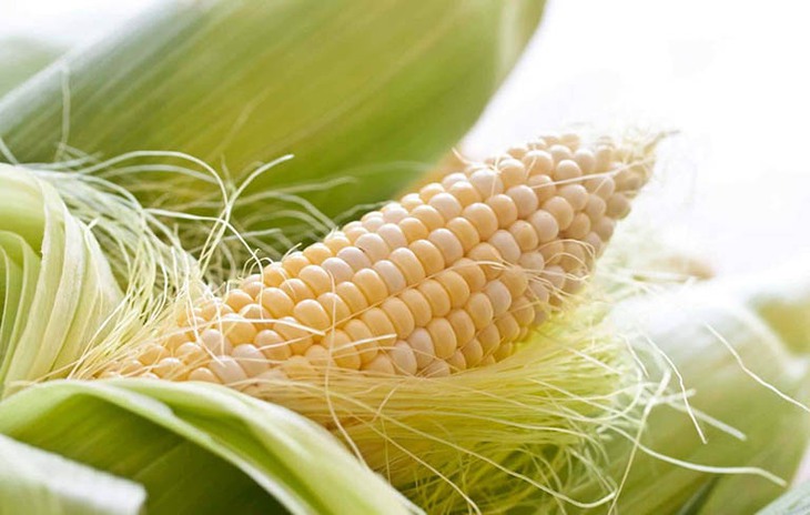 6 vị thuốc quen thuộc giúp mát gan trong ngày nắng nóng- Ảnh 5.