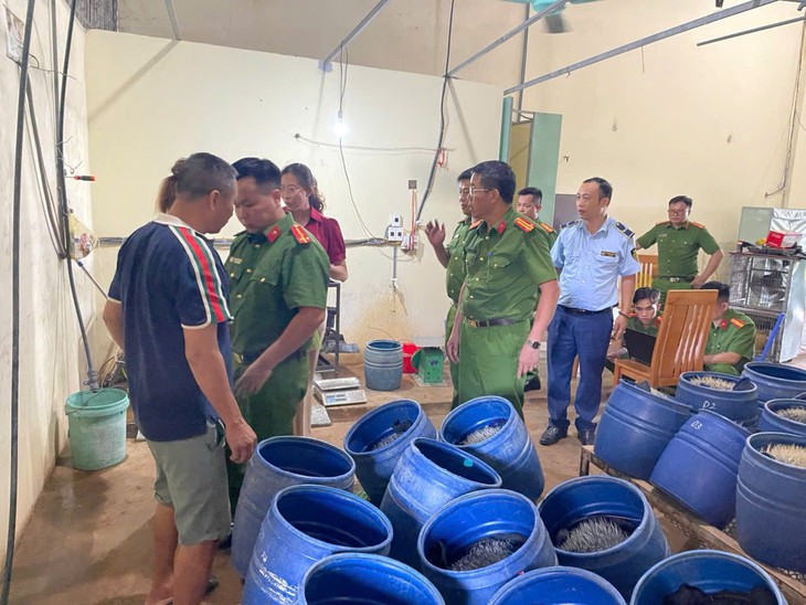 Phát hiện cơ sở sản xuất giá đỗ sử dụng chất cấm ở Hải Phòng- Ảnh 1.
