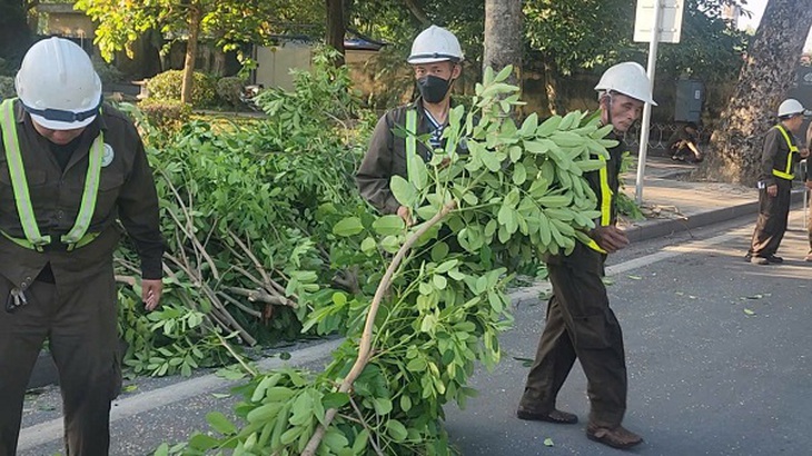 Hà Nội: Cắt sửa hơn 35.000 cây xanh trước mùa mưa bão- Ảnh 8.