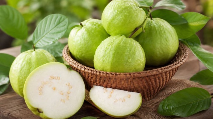 Ăn 1 quả ổi vào buổi sáng có tác dụng gì? 5 lý do bạn nên thử ngay- Ảnh 1. Ăn 1 quả ổi vào buổi sáng có tác dụng gì? 5 lý do bạn nên thử ngay- Ảnh 1.