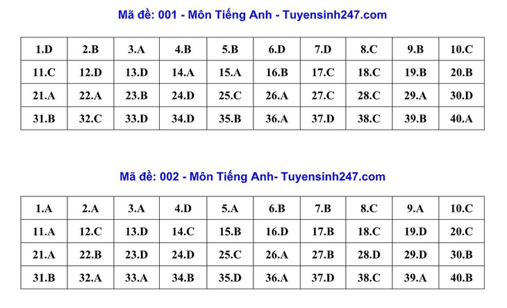 Đáp án, đề thi vào 10 môn Tiếng Anh tại Hà Nội năm 2026- Ảnh 2.