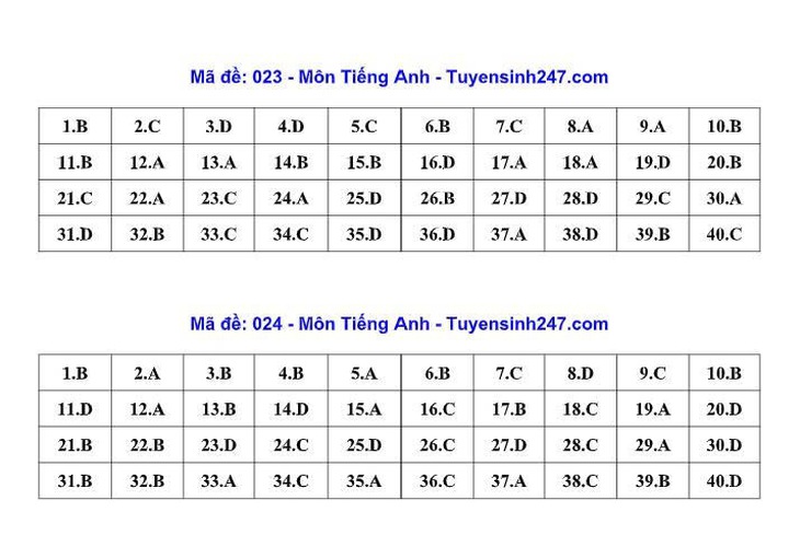 Đáp án, đề thi vào 10 môn Tiếng Anh tại Hà Nội năm 2026- Ảnh 1.