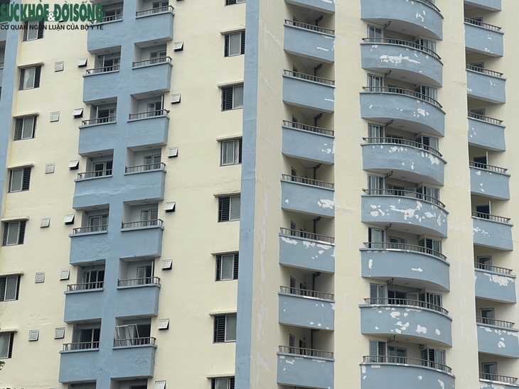 Cận cảnh nhà ở tái định cư bỏ hoang trên 'đất vàng'  được Bí thư Hà Nội yêu cầu hoàn thiện gấp- Ảnh 4.