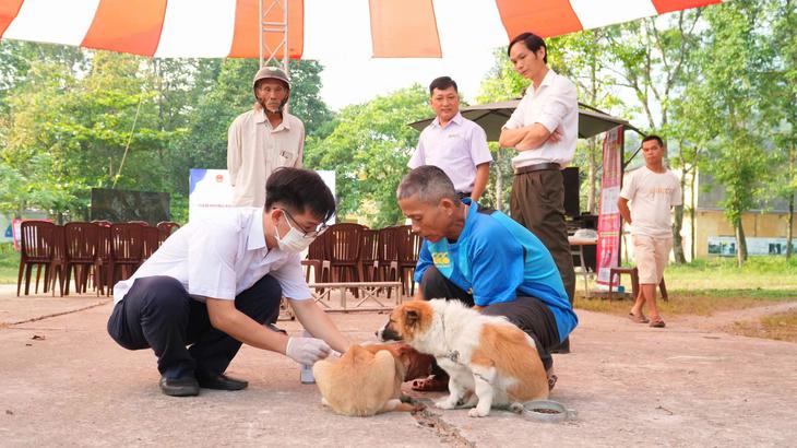 Nhiều người phải đi tiêm phòng dại, xử trí thế nào khi bị chó, mèo cắn?- Ảnh 2.