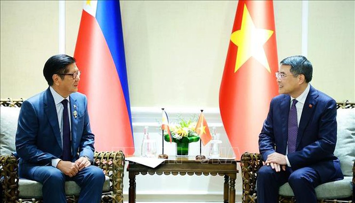 Thủ tướng Lê Minh Hưng gặp Tổng thống Philippines- Ảnh 2.