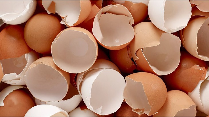 Vỏ trứng có tác dụng gì?- Ảnh 1. Vỏ trứng có tác dụng gì?- Ảnh 1.