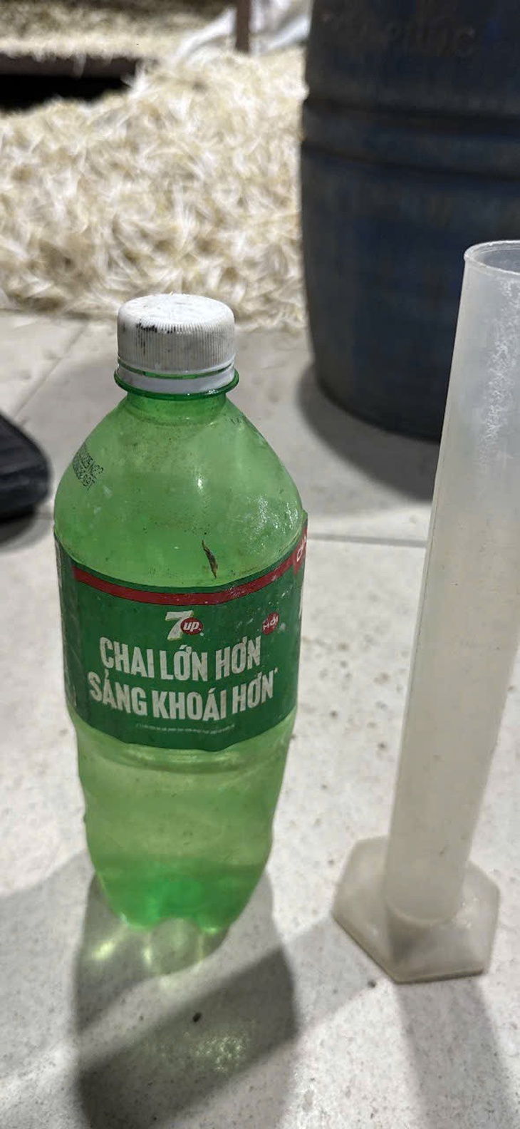 Hơn 1.000 tấn giá đỗ ngâm 'nước kẹo' tuồn vào các chợ, quán ăn ở Bình Thạnh, Gò Vấp cũ- Ảnh 3.
