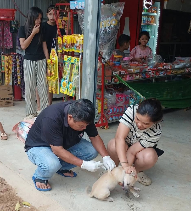 Đừng đánh cược mạng sống bằng thuốc nam khi bị chó cắn- Ảnh 2.