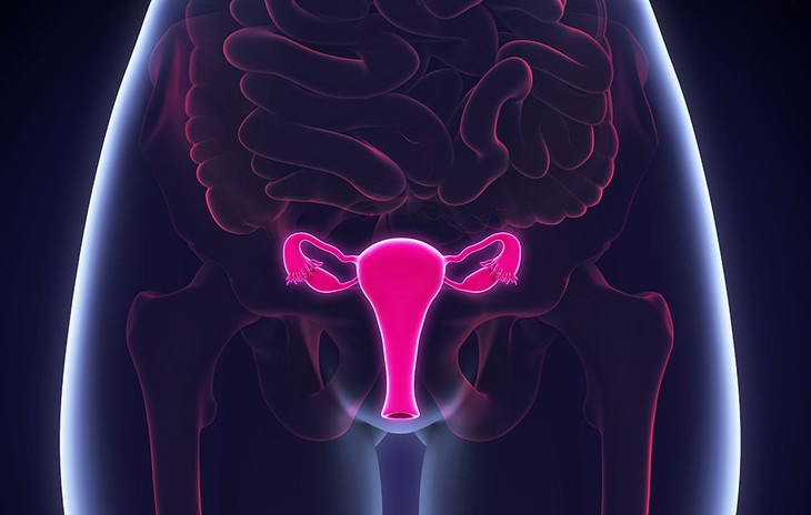 Ngoài ung thư cổ tử cung, HPV có thể gây loại ung thư nào khác?- Ảnh 1.