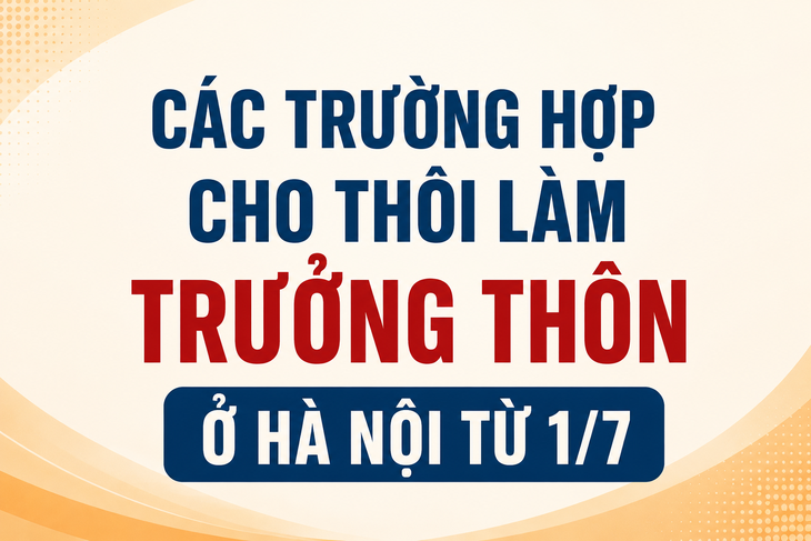 Hai trường hợp Trưởng thôn, Tổ trưởng tổ dân phố cho thôi nhiệm vụ tại Hà Nội từ 1/7- Ảnh 1.