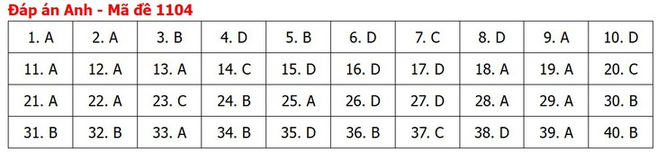 Đề thi, đáp án môn Tiếng Anh tốt nghiệp THPT 2026 tất cả mã đề - Ảnh 8.
