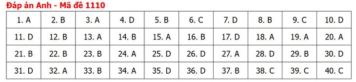 Đề thi, đáp án môn Tiếng Anh tốt nghiệp THPT 2026 tất cả mã đề - Ảnh 13.