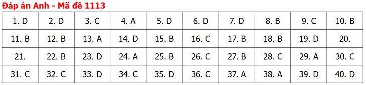 Đề thi, đáp án môn Tiếng Anh tốt nghiệp THPT 2026 tất cả mã đề - Ảnh 17.