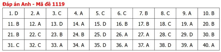 Đề thi, đáp án môn Tiếng Anh tốt nghiệp THPT 2026 tất cả mã đề - Ảnh 23.