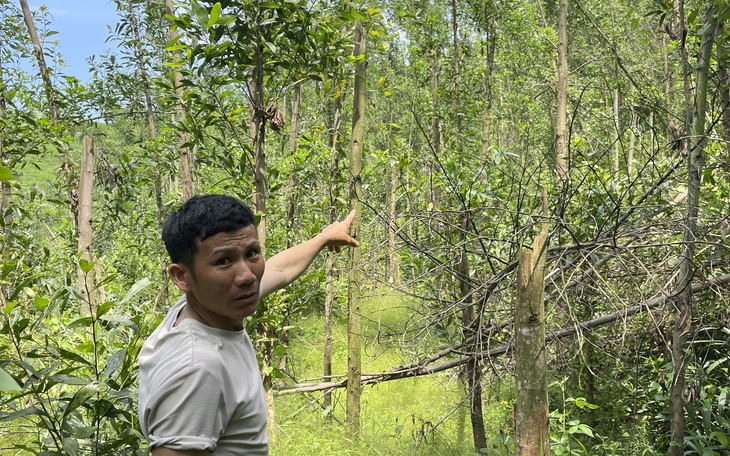 Vụ xã phải thu hồi gần 200 triệu: Người dân mòn mỏi chờ kết quả xử lý- Ảnh 3.