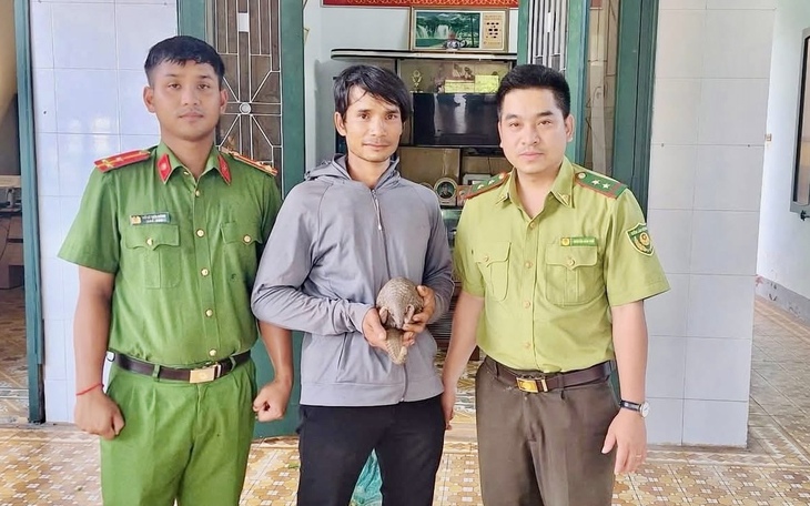 Hai cá thể chim săn mồi quý hiếm lạc vào nhà dân - Ảnh 2.