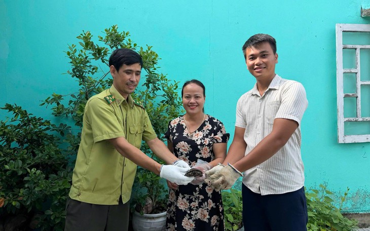 Phát hiện nhiều loài động vật quý hiếm, người dân liền mang về giao nộp cho chính quyền- Ảnh 4.