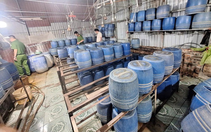 Dùng hóa chất sản xuất giá đỗ, hai chủ cơ sở lĩnh án tù- Ảnh 2.