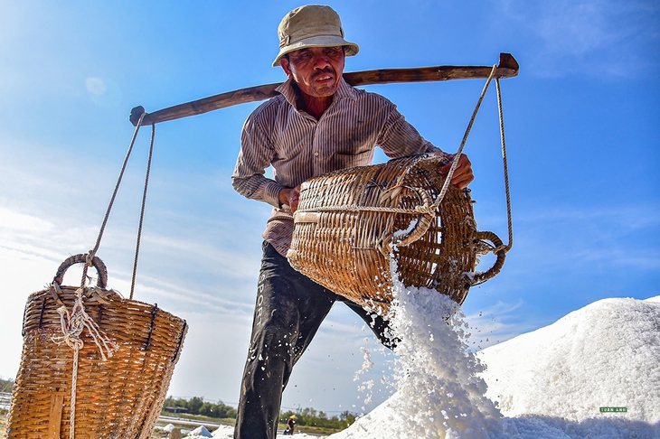 Nét đẹp trên cánh đồng muối Cần Giờ- Ảnh 1.