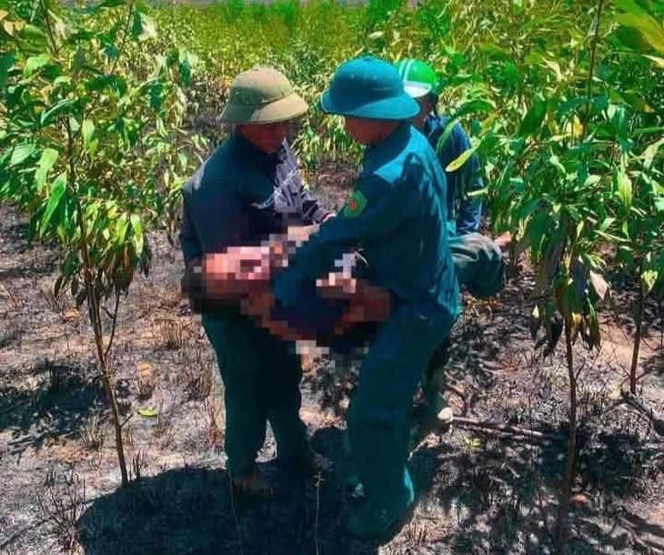 Cháy rừng ở Hà Tĩnh khiến hai vợ chồng tử vong nghi do ngạt khói - Ảnh 1. Cháy rừng ở Hà Tĩnh khiến hai vợ chồng tử vong nghi do ngạt khói - Ảnh 1.