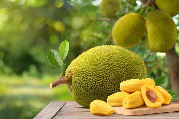 Quả mít: Thứ quả dân dã ăn được từ múi đến hạt - Ảnh 1.