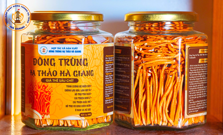 HTX Đông trùng hạ thảo Hà Giang: Nâng tầm dược liệu quý với giá thể sâu chít giàu dinh dưỡng- Ảnh 2.