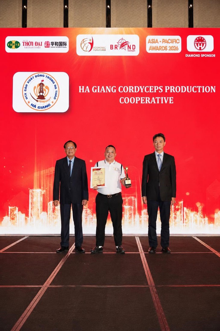 HTX Đông trùng hạ thảo Hà Giang: Nâng tầm dược liệu quý với giá thể sâu chít giàu dinh dưỡng- Ảnh 3.